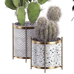 3D model potted plants set 19