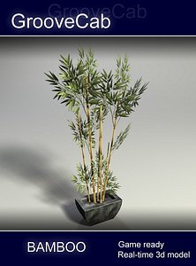 3d bamboo shrub real model