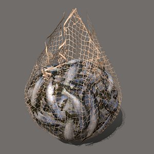 3D Fishing Net Models