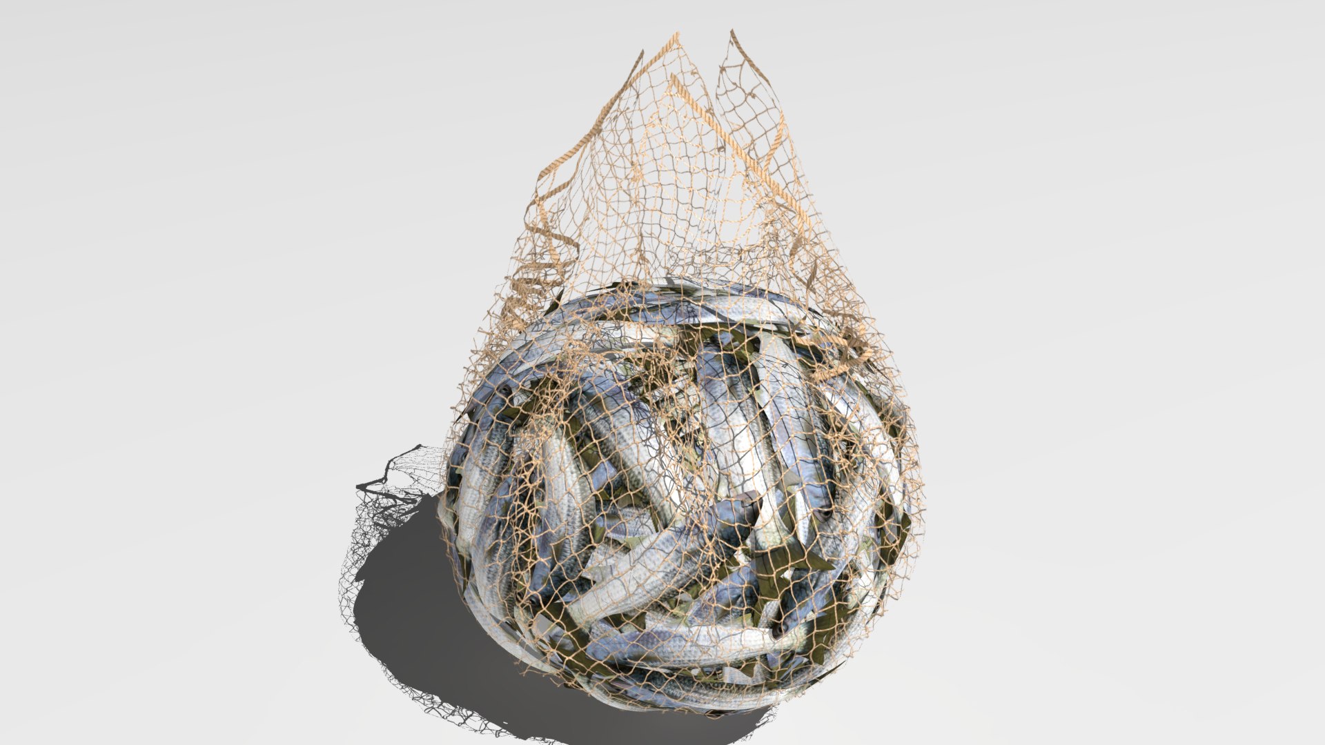 3D Fishing Net - TurboSquid 1976760