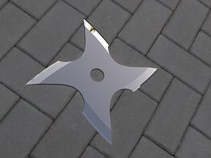 3D ninja printed model