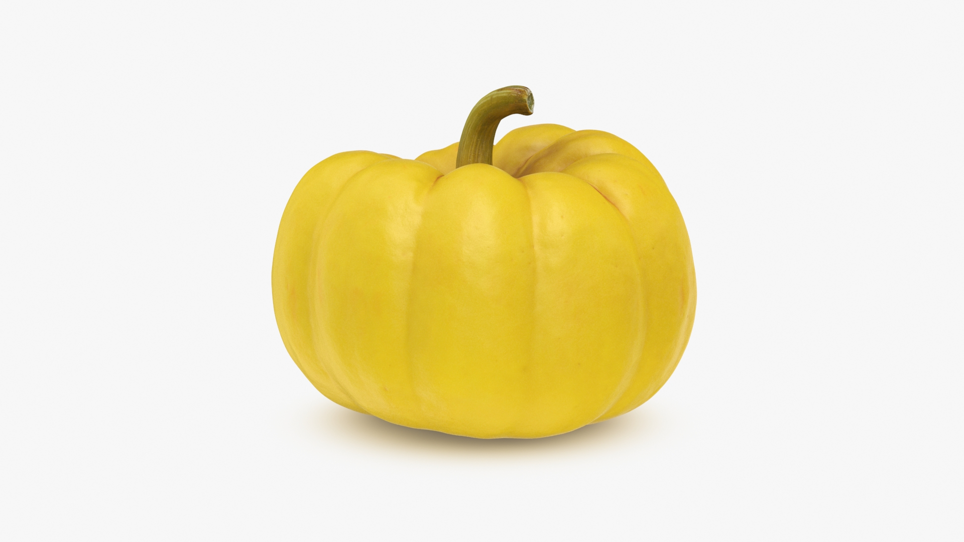 3D Pumpkin Baby Pile https://p.turbosquid.com/ts-thumb/OJ/KnE92F/O1/pumpkin_smallyellow/jpg/1710824318/1920x1080/turn_fit_q99/b9c40960eb2062e9f5d524f144e2784738502fdc/pumpkin_smallyellow-1.jpg