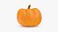 Mucchio di cuccioli di zucca