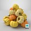 Mucchio di cuccioli di zucca