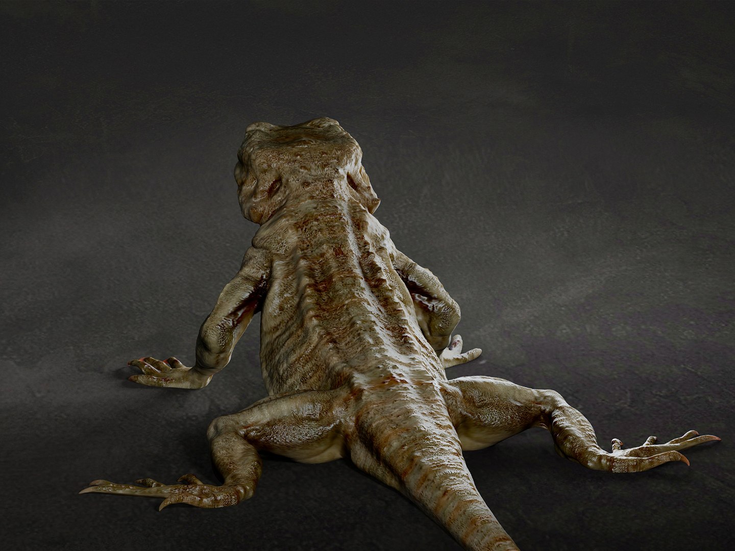 Lizard 3D Model - TurboSquid 1895880