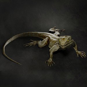 Lizard 3D model