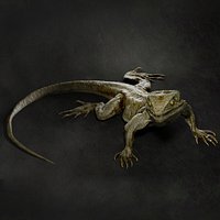 Lizard