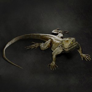 Lizard