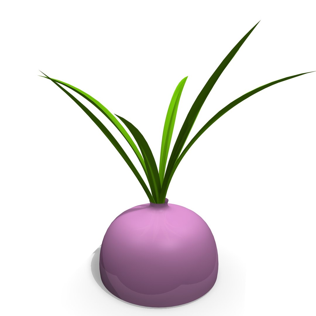 3ds interior plant https://p.turbosquid.com/ts-thumb/OJ/WTRx6Y/v9P7Yn7M/4indoorplant2/jpg/1347900658/1920x1080/fit_q87/52c522c627b91afa8b0b2eca23b8b33cd6d2f34b/4indoorplant2.jpg