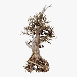 Dead Bonsai Tree 5 Remastered