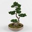 bonsai decorative tree 3D model