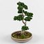 bonsai decorative tree 3D model
