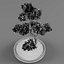 bonsai decorative tree 3D model