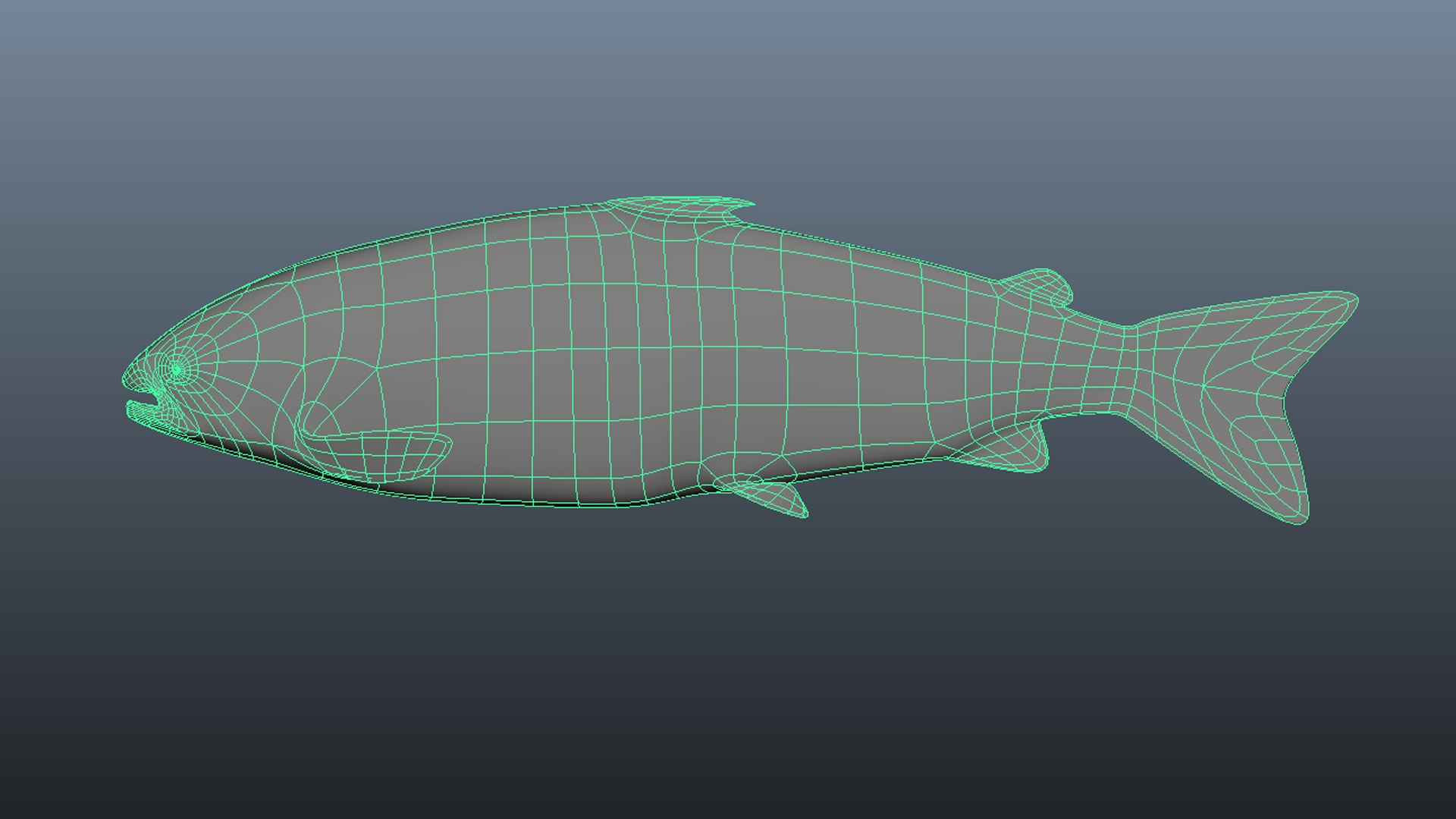 3D Salmon Collection model https://p.turbosquid.com/ts-thumb/OJ/qCdXBK/ne/wireframe2/jpg/1637093275/1920x1080/fit_q87/e63907d7c6654e7aa924dfbfa56bc7b5be2c18a6/wireframe2.jpg