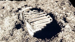 Astronauts First Footprint On The Moon