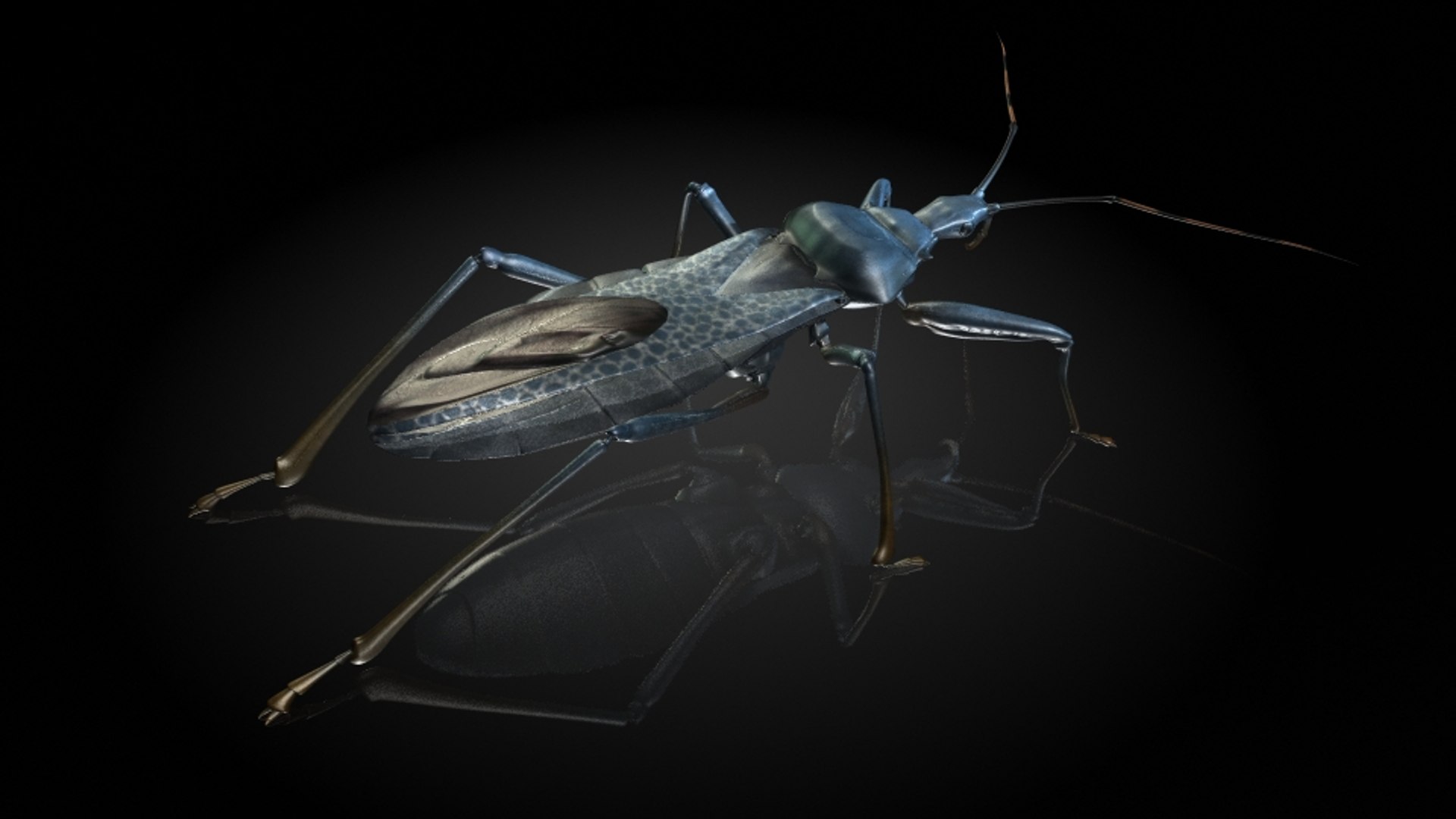 Bugs Kyi Insect 3D Model - TurboSquid 1318597