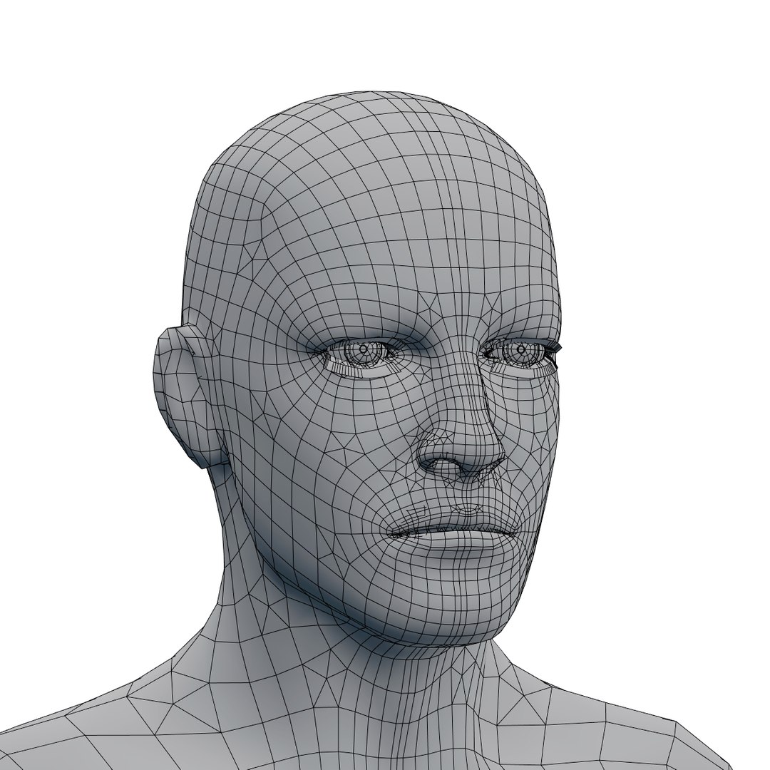 Male Head Rigged 3D - TurboSquid 1255213