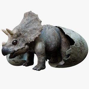 3D TriceratopsBaby 3D Rigged 3D model