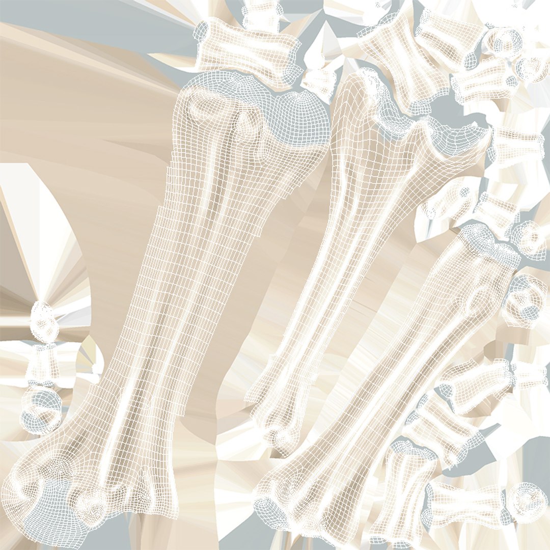 hand bones model https://p.turbosquid.com/ts-thumb/OK/ESnNq7/UIisVwHQ/uv_sist_oseo_sup/jpg/1579075803/1920x1080/fit_q87/ae375f0ac7368754abb481b7a2bb5d8b91d5cb92/uv_sist_oseo_sup.jpg