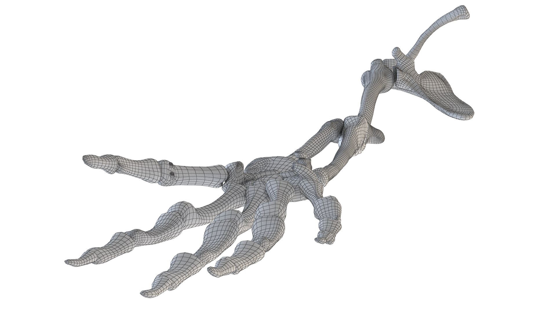 hand bones model https://p.turbosquid.com/ts-thumb/OK/ESnNq7/YCg4pXeA/wireframe_beauty/png/1579075803/1920x1080/fit_q87/63a7acf4e61f16a0b067294ada1622907ec47d1d/wireframe_beauty.jpg