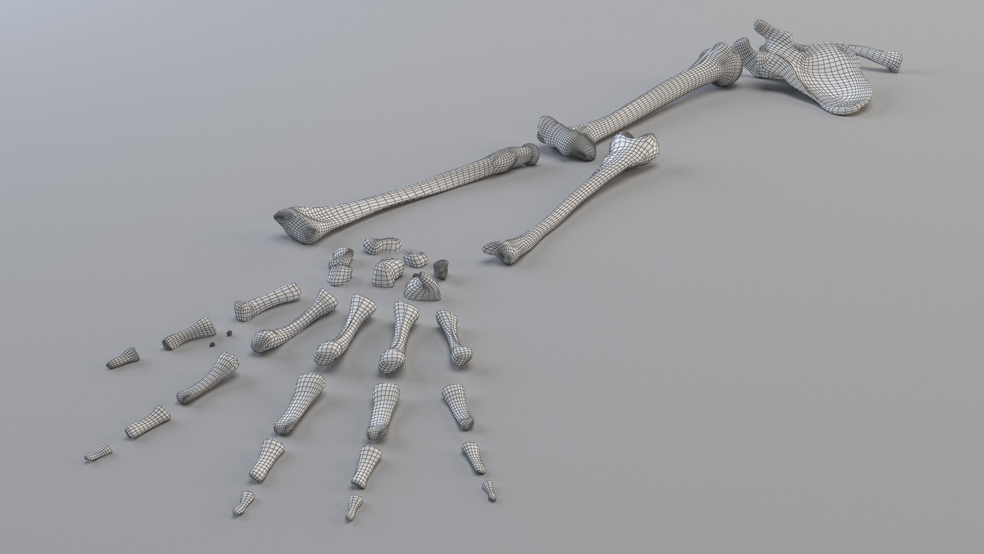 hand bones model https://p.turbosquid.com/ts-thumb/OK/ESnNq7/bfAsct2W/wireframe_parts/png/1579075803/1920x1080/fit_q87/508c966a3f53daf1293c69de7b197641f1567e67/wireframe_parts.jpg