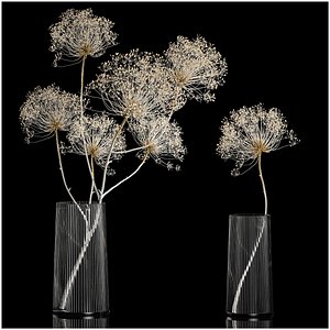 Bouquets Of Dried Heracleum Flowers And Decor 3D model