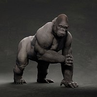 Gorilla