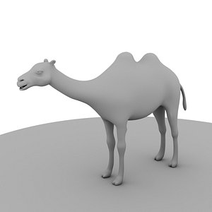 3D camel model