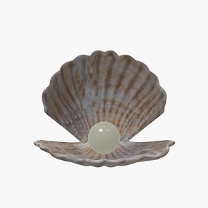3D Sea shell