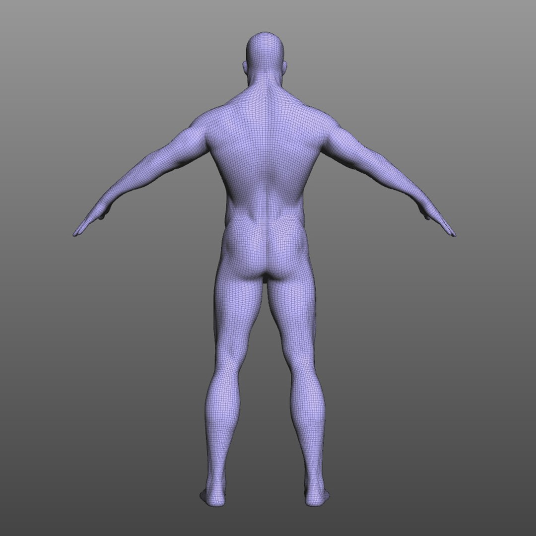 male mascular rigged model https://p.turbosquid.com/ts-thumb/OK/iA2KGx/9GIk2WuQ/wire2/jpg/1583875197/1920x1080/fit_q87/44c86f548c772cc2df5e3f3e4950946a17361179/wire2.jpg