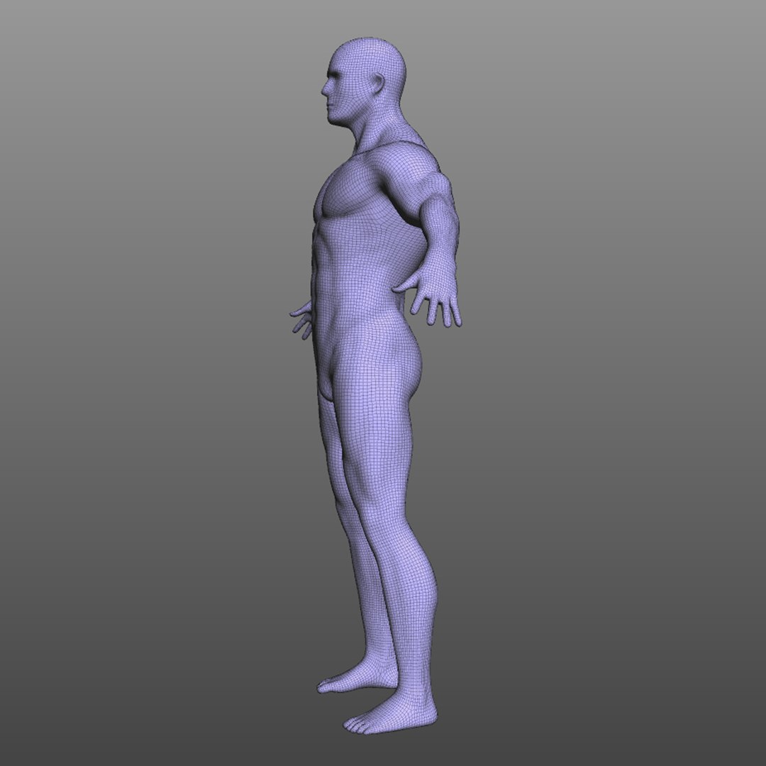 male mascular rigged model https://p.turbosquid.com/ts-thumb/OK/iA2KGx/a6bdq3BH/wire3/jpg/1583875197/1920x1080/fit_q87/82cf73c0db9ec4e4bea83ab894ac7a2a58666576/wire3.jpg