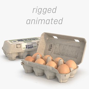 3D 8 eggs in rigged carton package