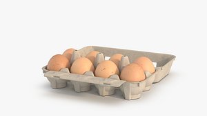3D 8 eggs in rigged carton package