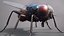 Mosca doméstica