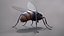 Mosca doméstica