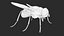 Mosca doméstica