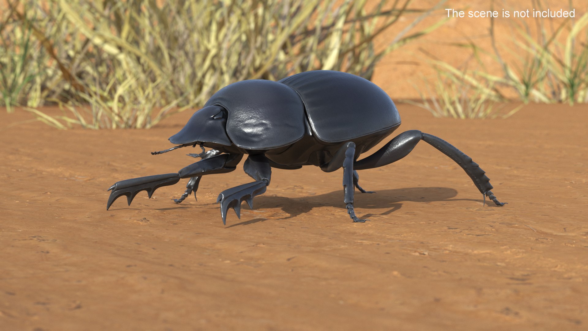Roller Beetle Rigged for Cinema 4D 3D model https://p.turbosquid.com/ts-thumb/OL/7F8Nzn/g6/roller_beetle_rigged_005/jpg/1739226448/1920x1080/fit_q87/5a394d2a6392e8a8523b5ec202ec17f70ff08e85/roller_beetle_rigged_005.jpg