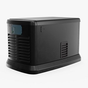 Home Natural Gas Standby Generator