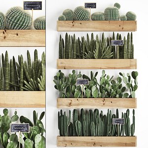 3D plants cactus wall decor model