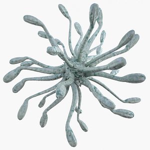 3d micro object mht