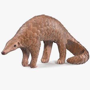 Pangolin Rigged for Maya