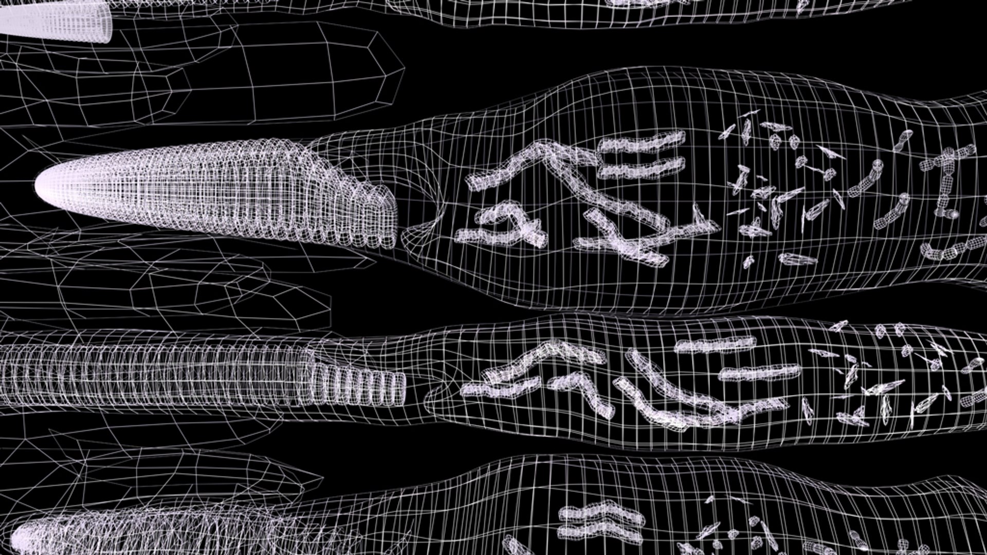 Rods Cones Eye Anatomy 3d Max