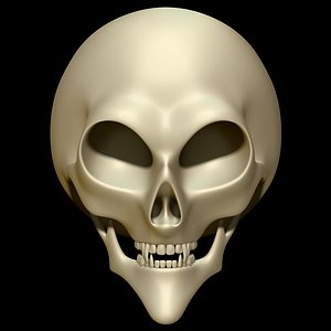 3D skull