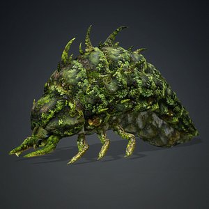 Larva-V2d