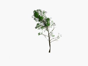 tree pack 2