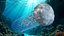 3D Ghostly White Jellyfish model