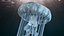 3D Ghostly White Jellyfish model
