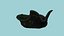 Chapeau Davy Jones - Costume Pirate PBR