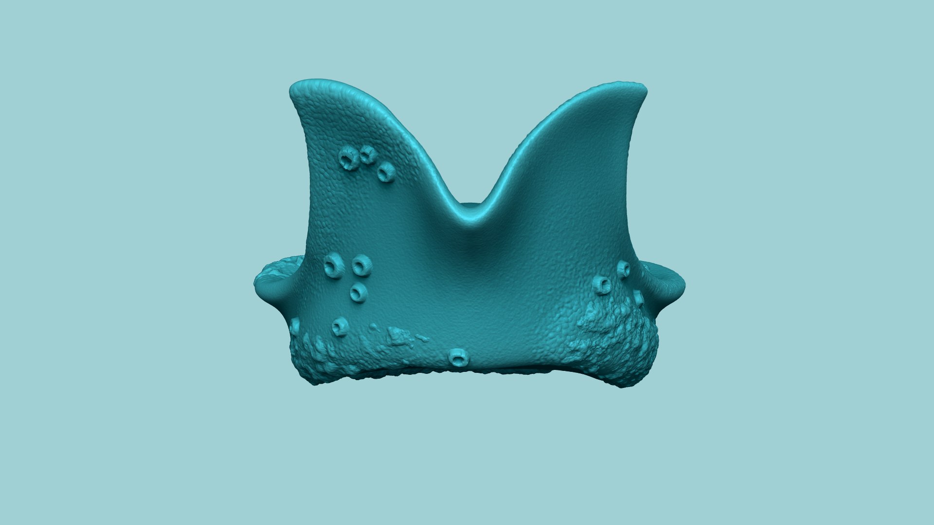 3D hat davy jones - model https://p.turbosquid.com/ts-thumb/OM/IFjS2a/808lNzd5/render1nc/png/1601951442/1920x1080/fit_q87/c5bddbd396eed11930b3f9d9fcd4a1f0ca8e2c14/render1nc.jpg