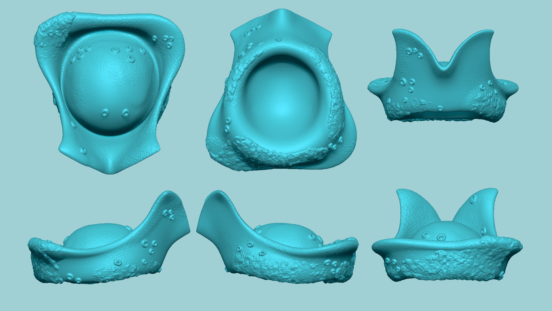 3D hat davy jones - model https://p.turbosquid.com/ts-thumb/OM/IFjS2a/91FBbxZS/anglesnc/png/1601951435/1920x1080/fit_q87/ceb7f8033e3a247b096d7249e2eb93b422eaadf0/anglesnc.jpg